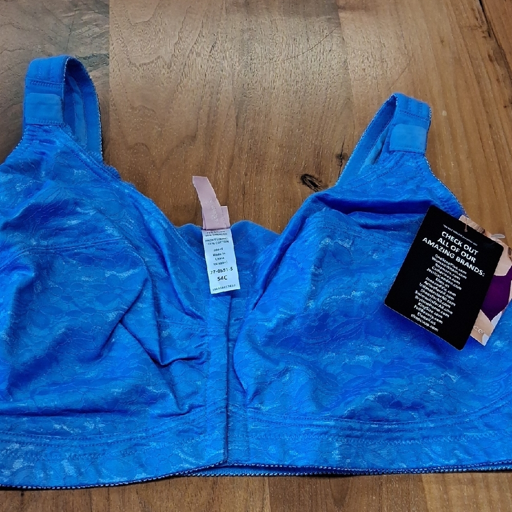 Blue Lace Bra
